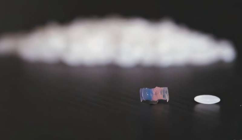 Scientists develop grain-sized soft robots controlled by magnetic fields for targeted drug delivery