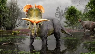 Lokiceratops Artist Rendering Crop