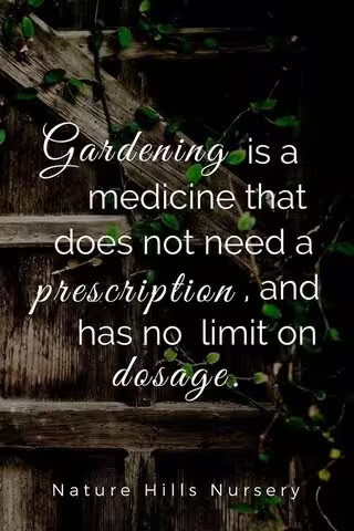 Gardening-is-medicine