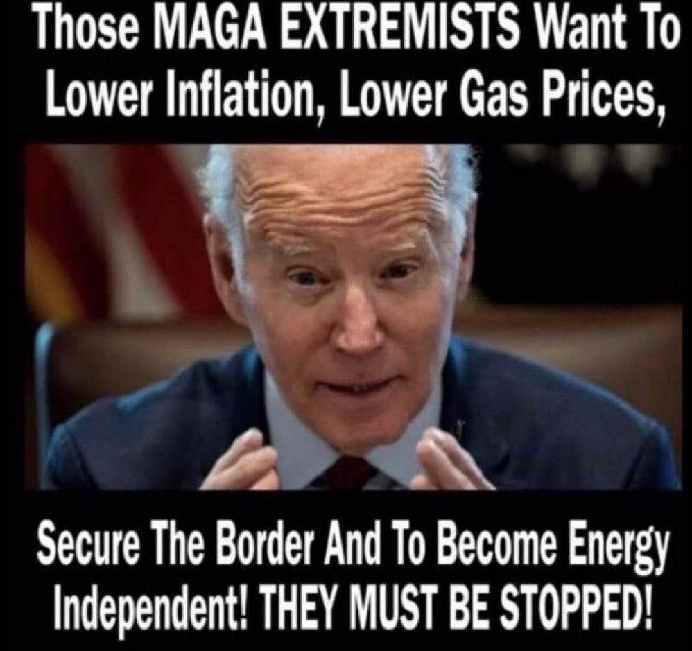 Joe Biden meme telling people that Maga must be stopped for wanting to improve the country.