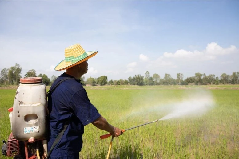 Spraying Fertilizer