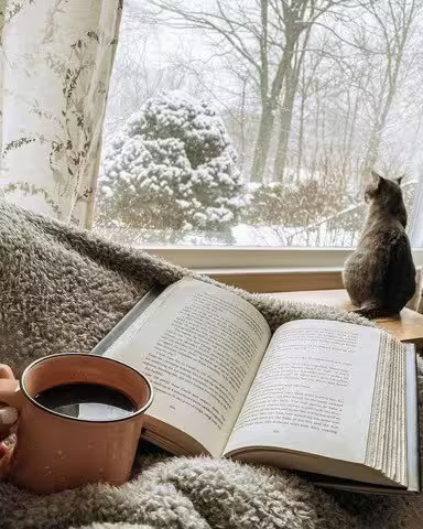 Cat-Snow-Coffee-Book