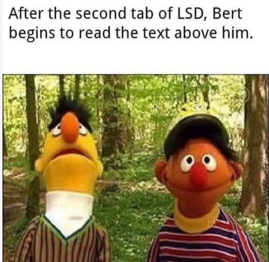 Meme impying Bert and Ernie used drugs.
