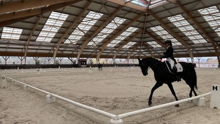 Paris 2024 : 'Mon cheval m'a permis d'accepter mon handicap'... Les paradresseurs français évoquent leur relation à part avec leur monture