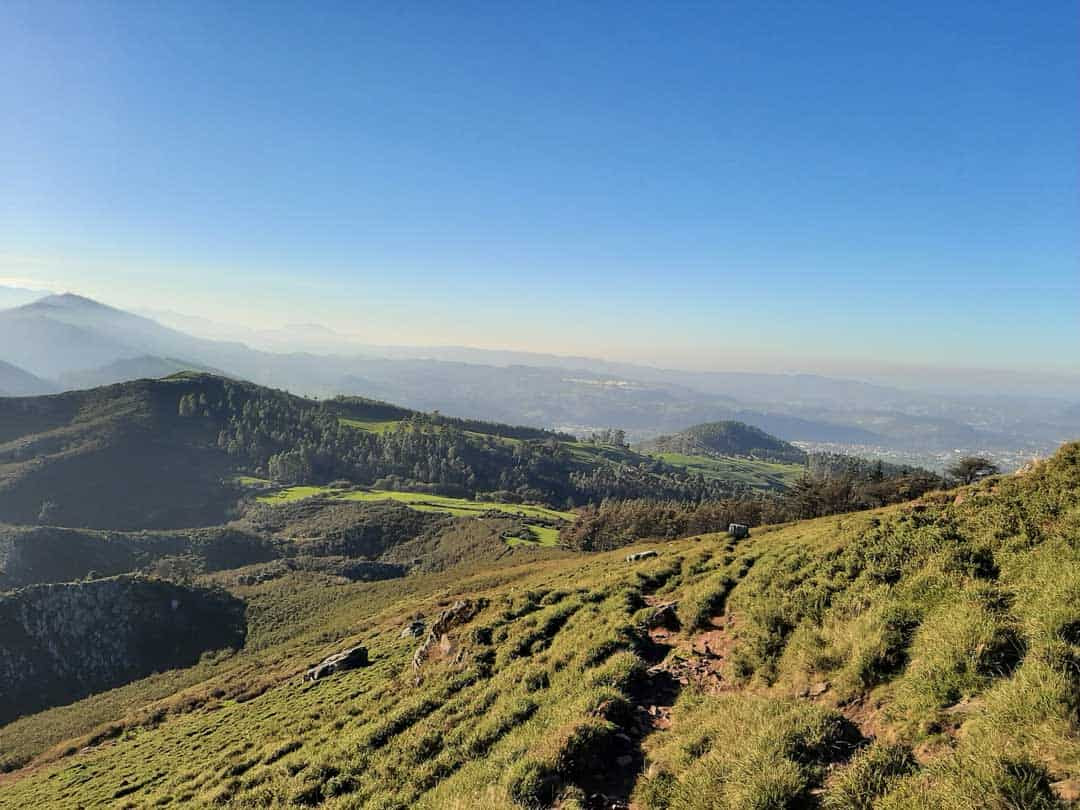 Alegaciones al proyecto 'Ruta familiar animales del cuaternario'