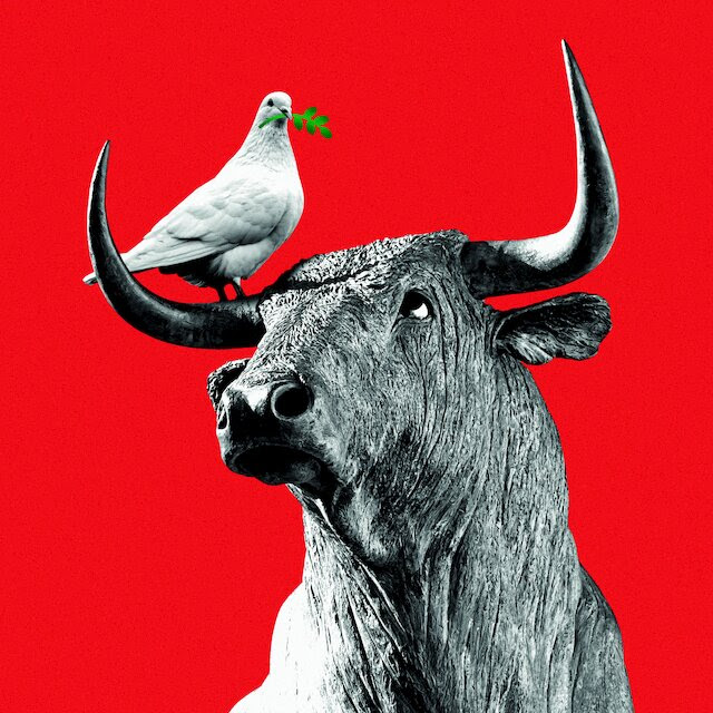 A dove holding an olive branch in its beak sits on the horns of a bull. 