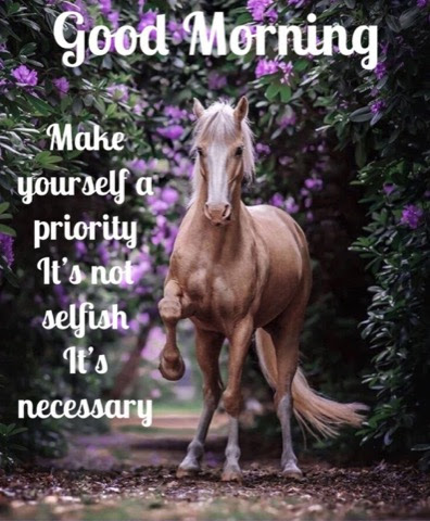 Good-Morning-Horse-Priority