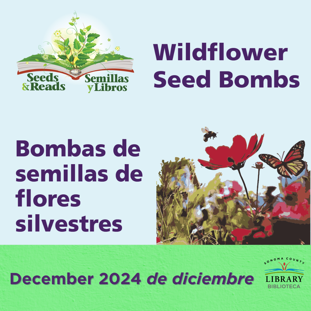 Wildflower Seed Bombs