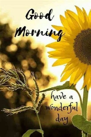 Good-Morning-Wonderful-Sunflower