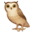 🦉