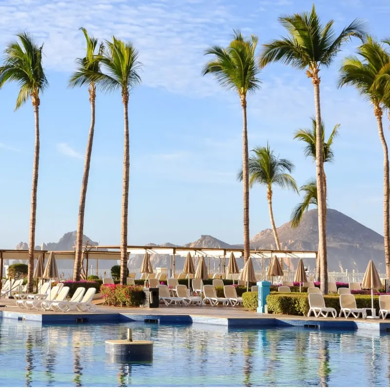 Tall coconut trees near the swimming pool with a view of El Arco from Riu Palace Hotel in Los Cabos.