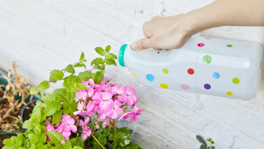 Pouring out water onto plants