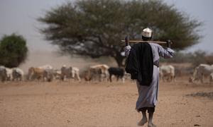 La región somalí de Etiopía se ha visto gravemente afectada por la sequía.