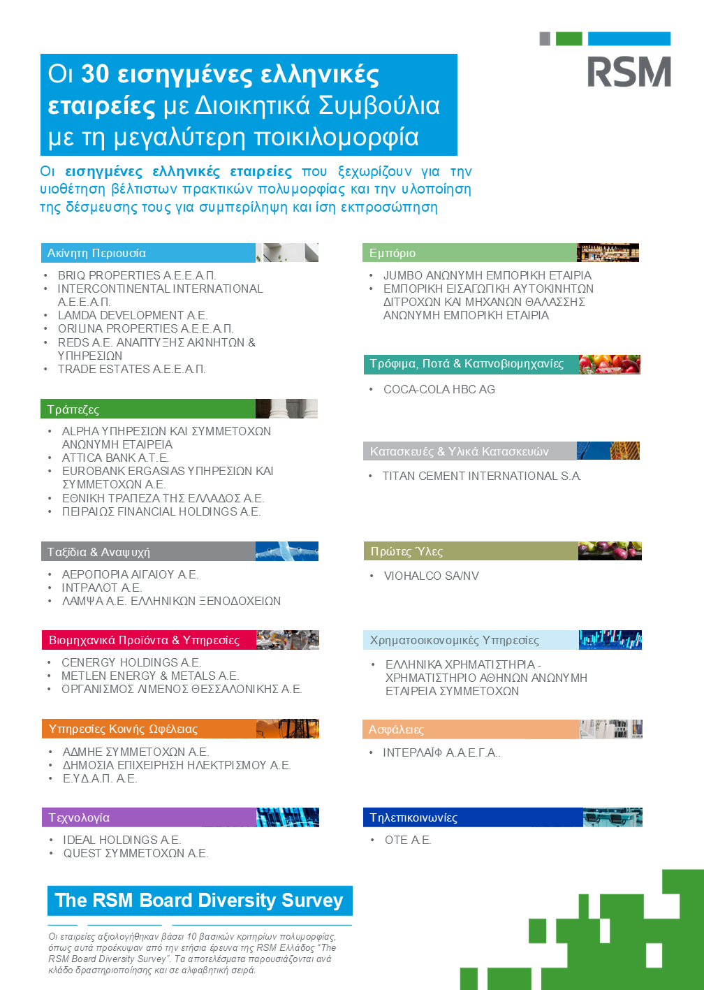 RSM Board Diversity Survey_Infographic - Top 30 Companies