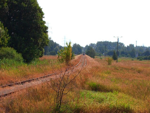 Szlak Łask - Zelów (6)