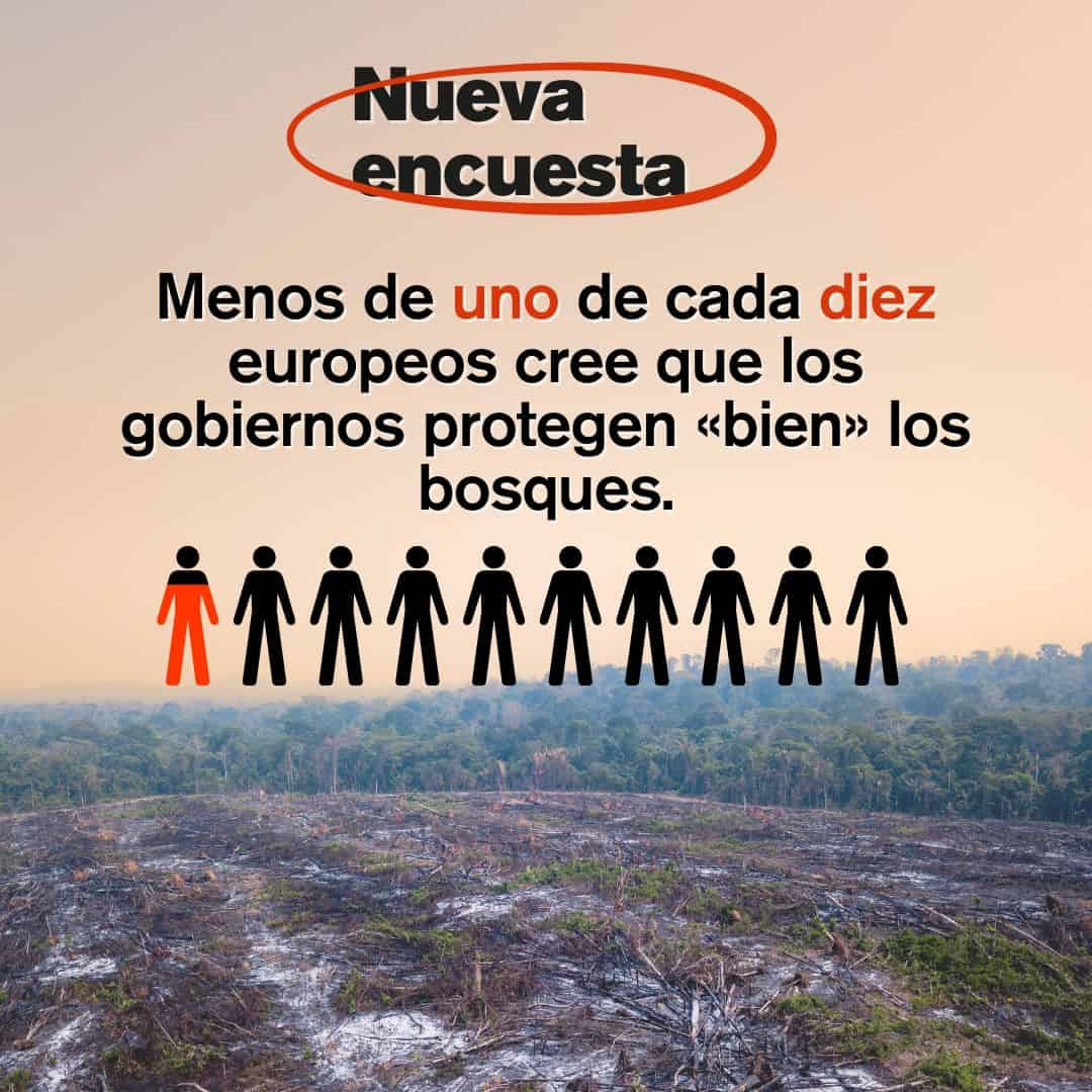 Una nueva encuesta muestra que una abrumadora mayoría de la ciudadanía europea opina que es necesaria la aplicación del reglamento para combatir la deforestación