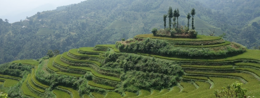 La nature au Vietnam avec Ha Giang