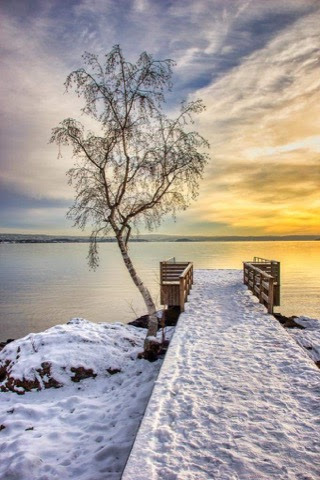 Winter-snow-around-lake