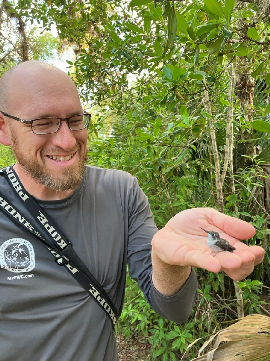 Biologist and juvenile hummingbird