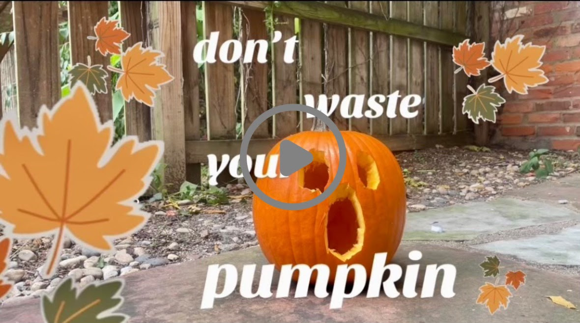 Pictured: Thumbnail of the "Don't Waste Your Pumpkin" Video