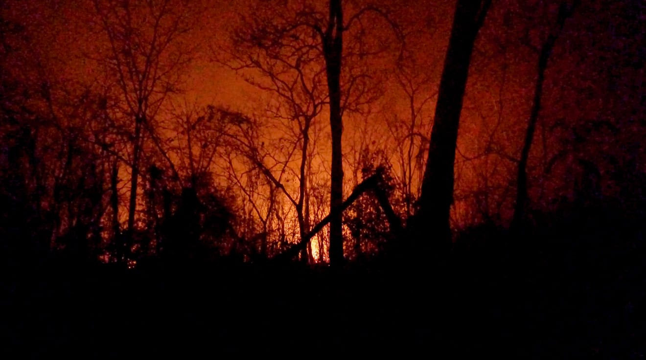 Los restos carbonizados de los árboles destacan sobre el cielo nocturno iluminado de rojo por las llamas