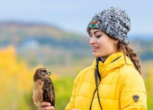 Trainee Arzu with Northern Harrier Oct 2024