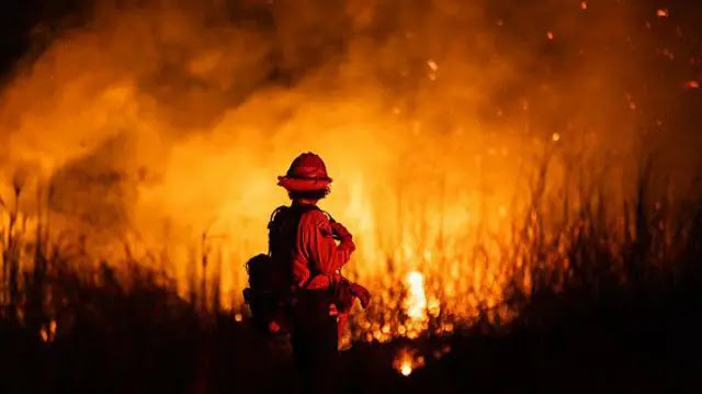 Incêndios florestais vão ficar cada vez mais intensos e prolongados, alerta cientista da ONU