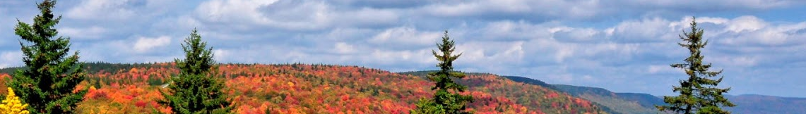 Decorative fall scene banner.