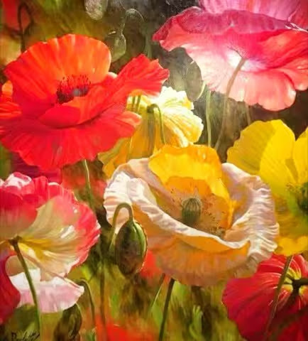 Flowers-Poppies