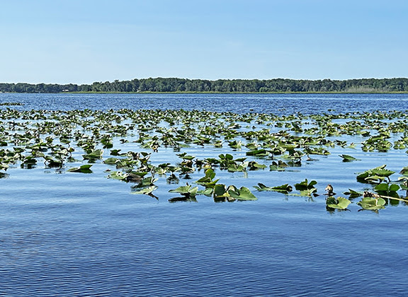 Little Orange Lake scenic photo