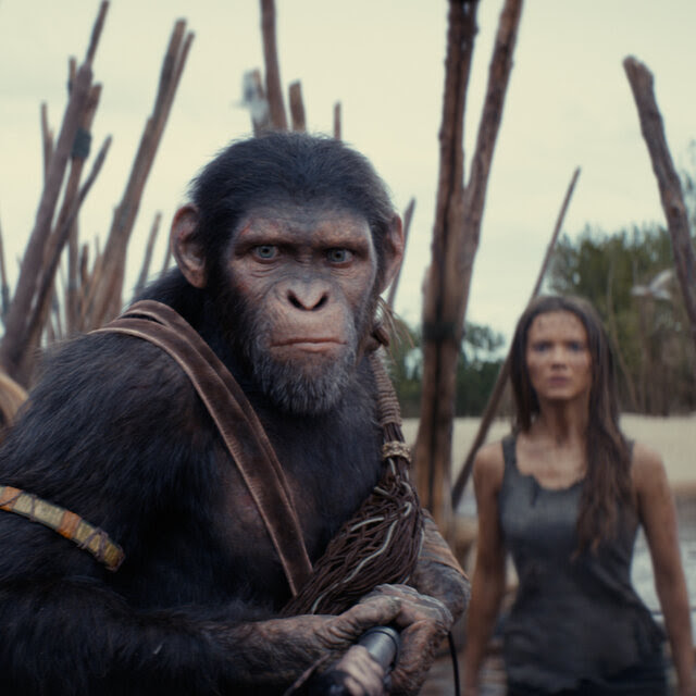 Two apes and a woman with serious looks stand near a body of water.