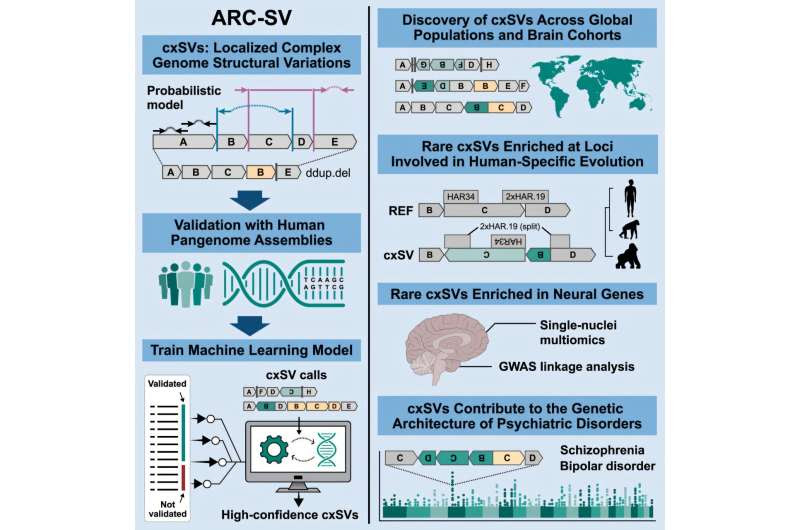 Complex genomic variants are related to psychiatric diseases, study finds