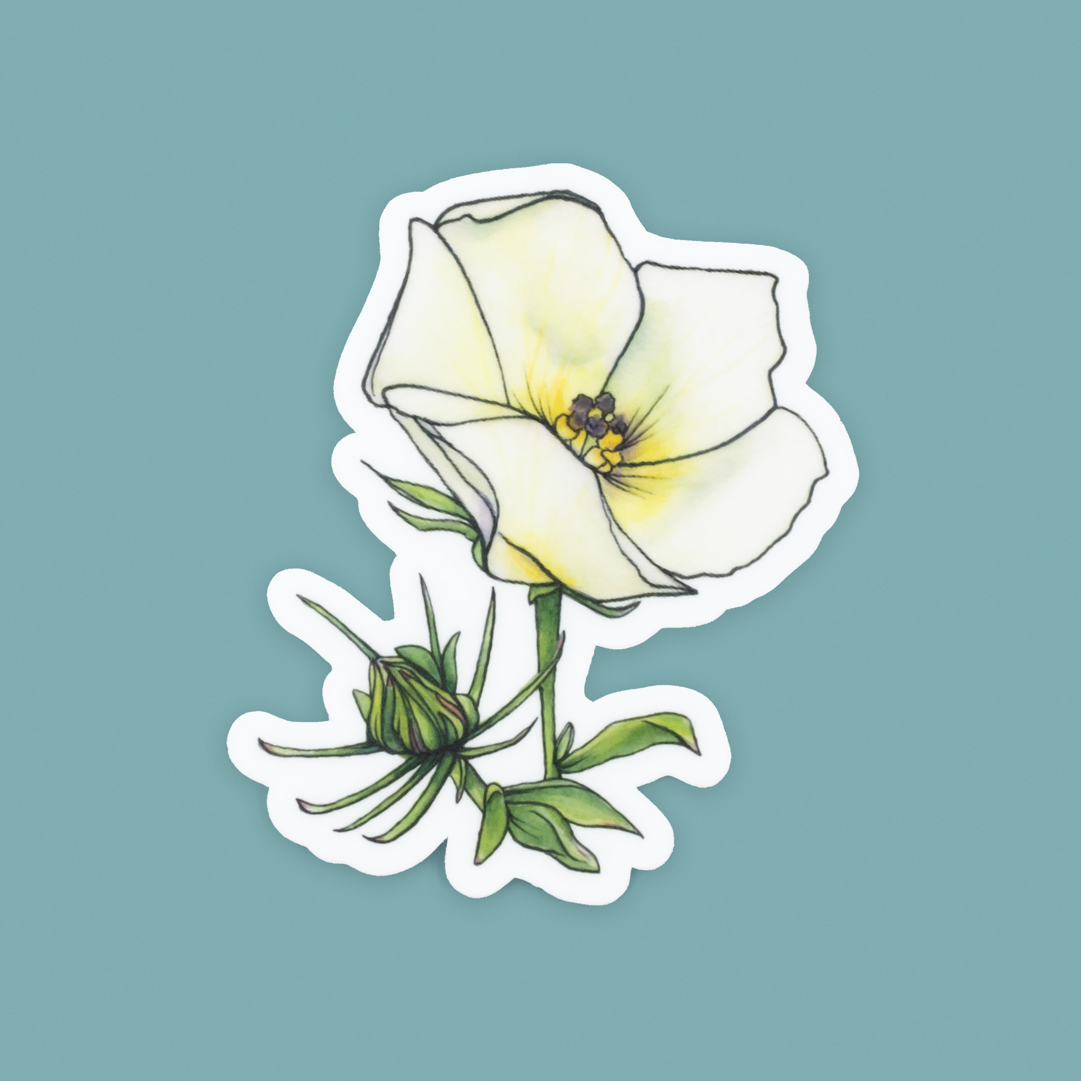 Image of NEW! Desert Rosemallow Vinyl Die-cut Sticker