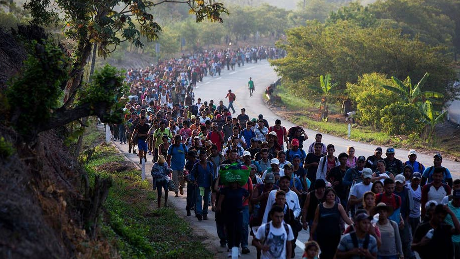 Huge line of migrants coming into USA.