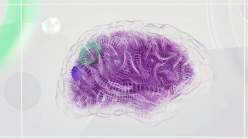 brain blood vessels