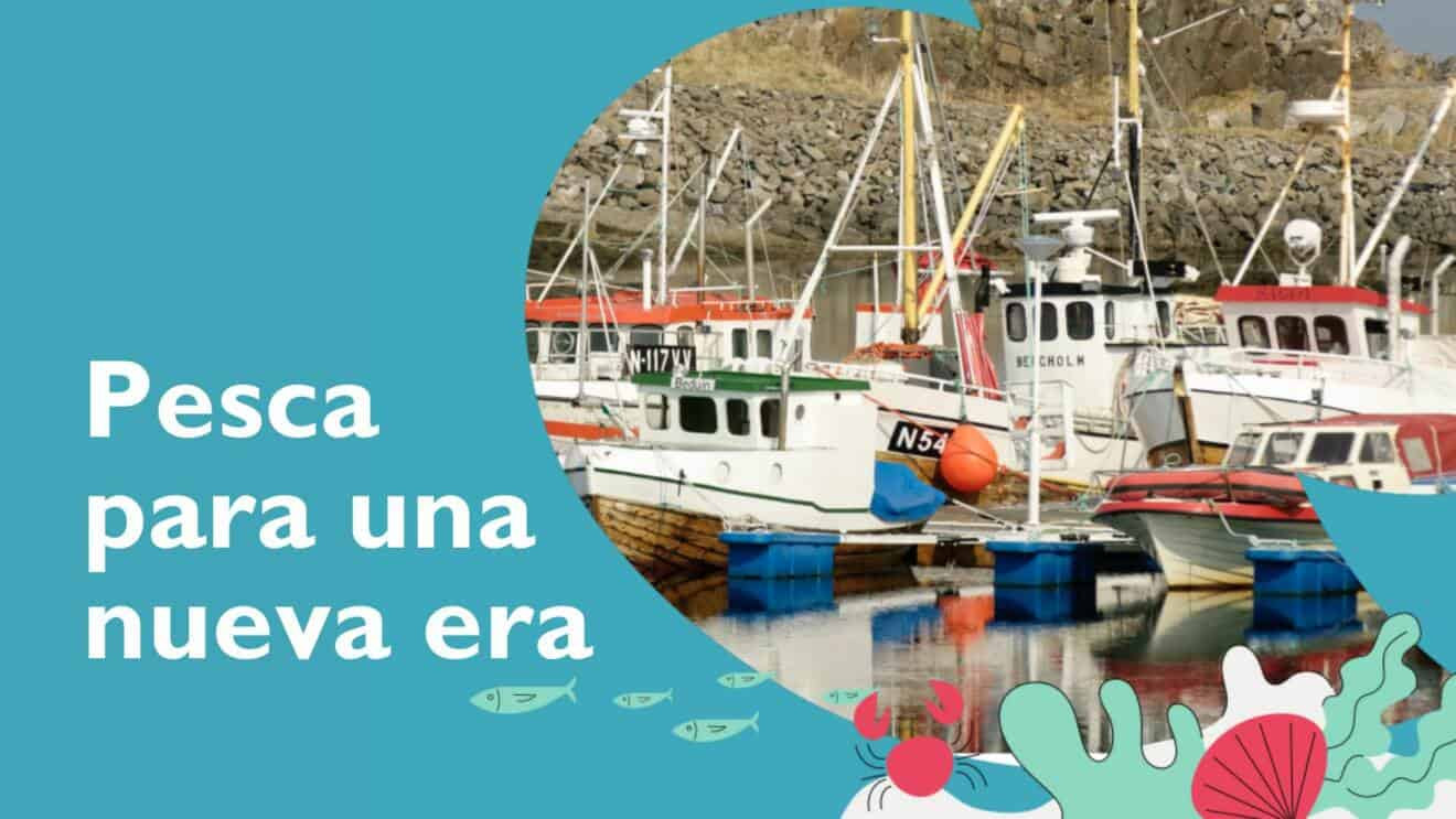 Un nuevo informe recopila ejemplos viables de pesca artesanal que contribuyen al desarrollo local y a la transición ecológica