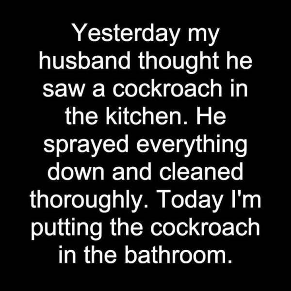 Random Funny Memes (153 pics)