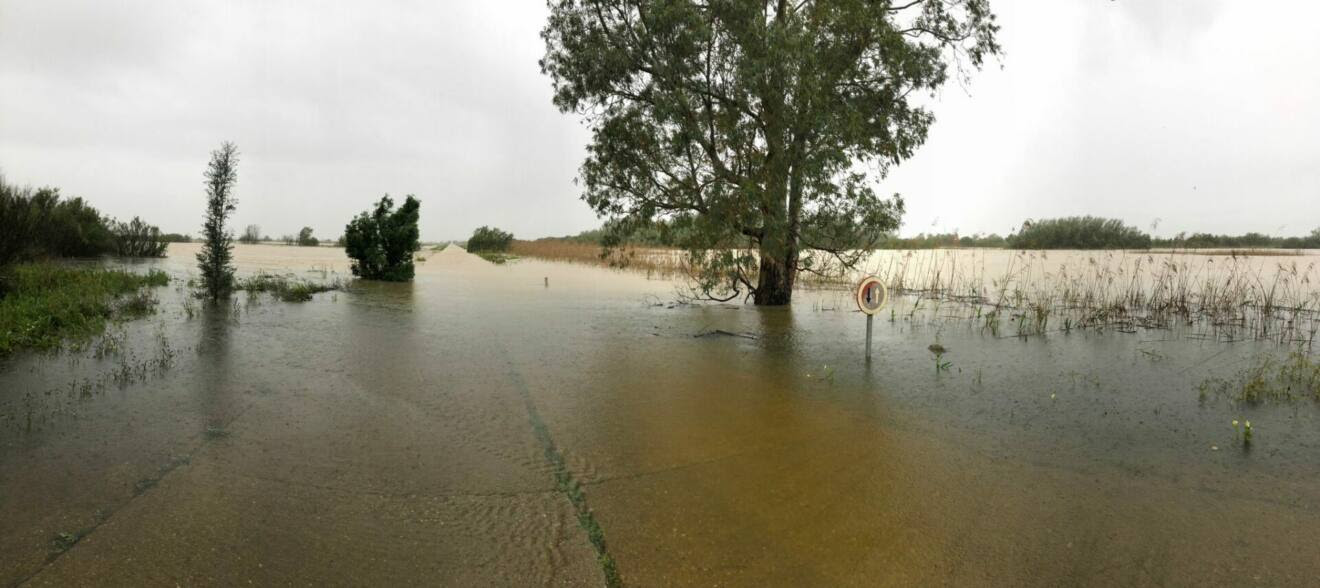 Inundación de las marismas y acuerdo marco para Doñana