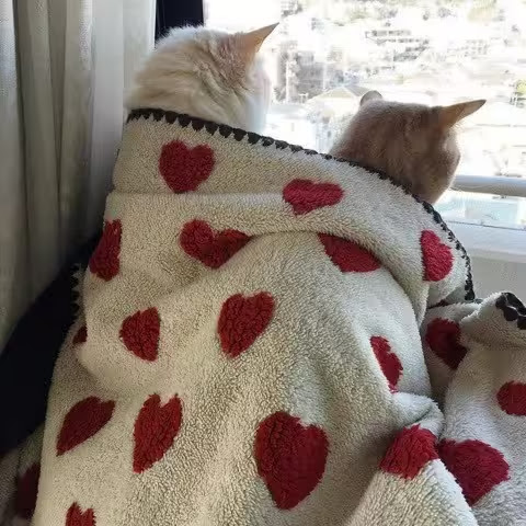 Cats-Heart-Blanket