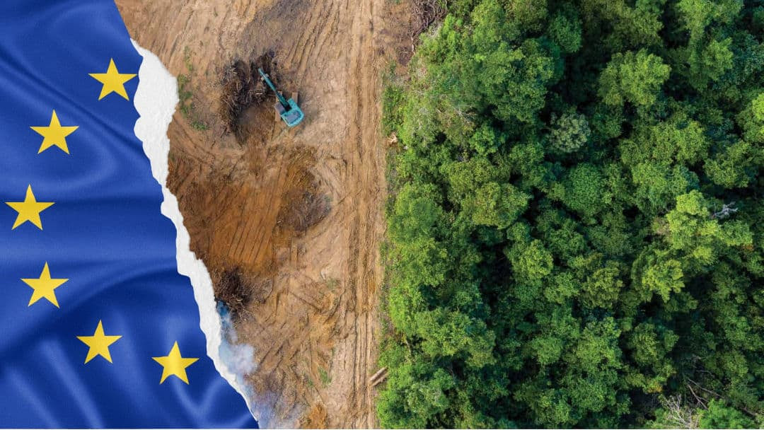 La Alianza Cero Deforestación califica de irresponsable la propuesta de la Comisión Europea de aplazar un año la normativa contra la deforestación