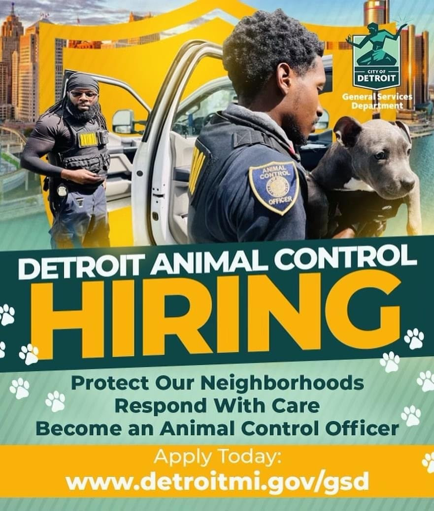 Work for #DetroitAnimalControl