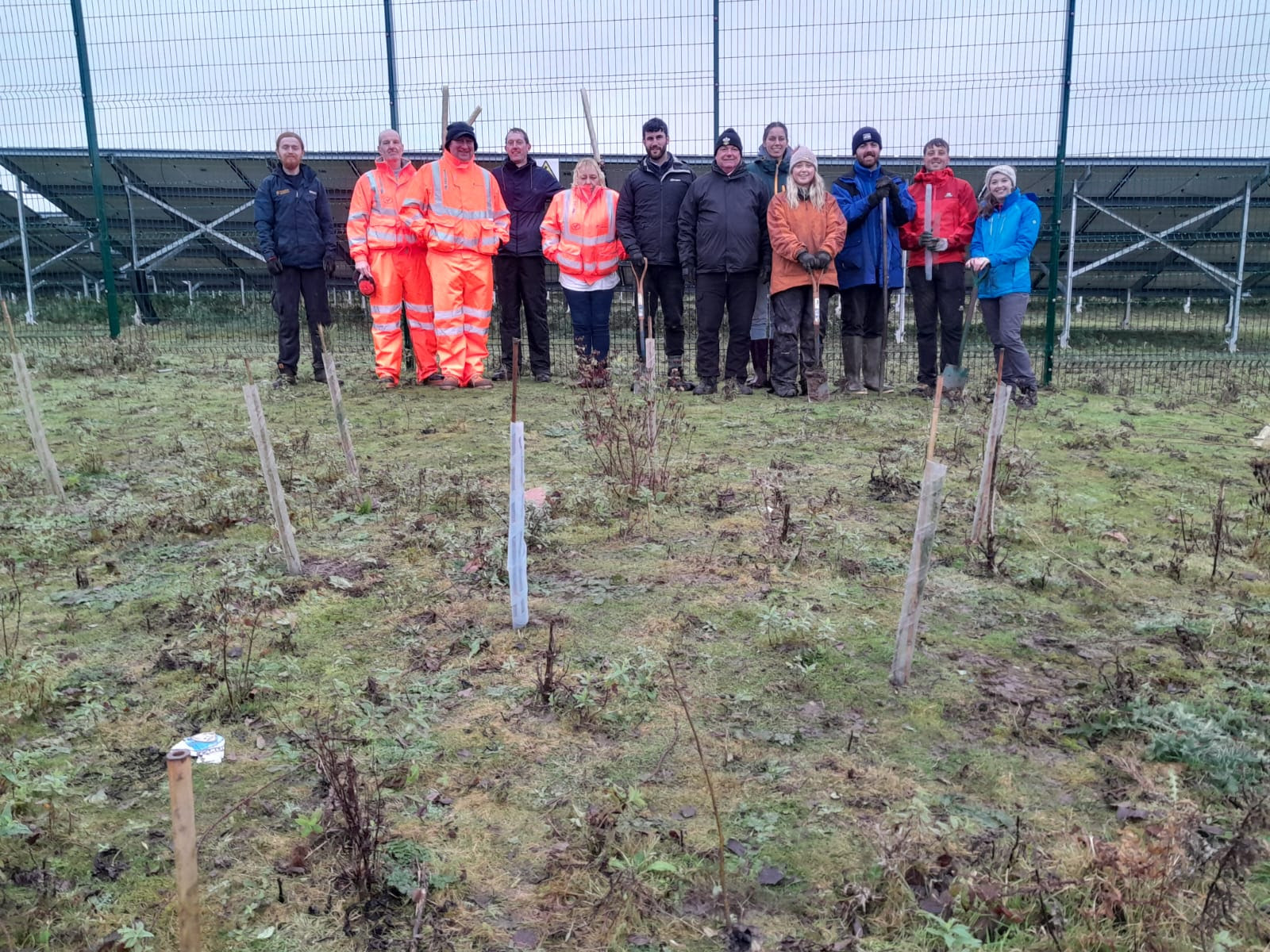 tree planting 2.jpeg