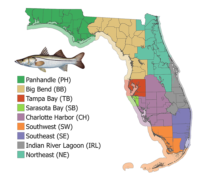 map of florida showing nine snook management regions