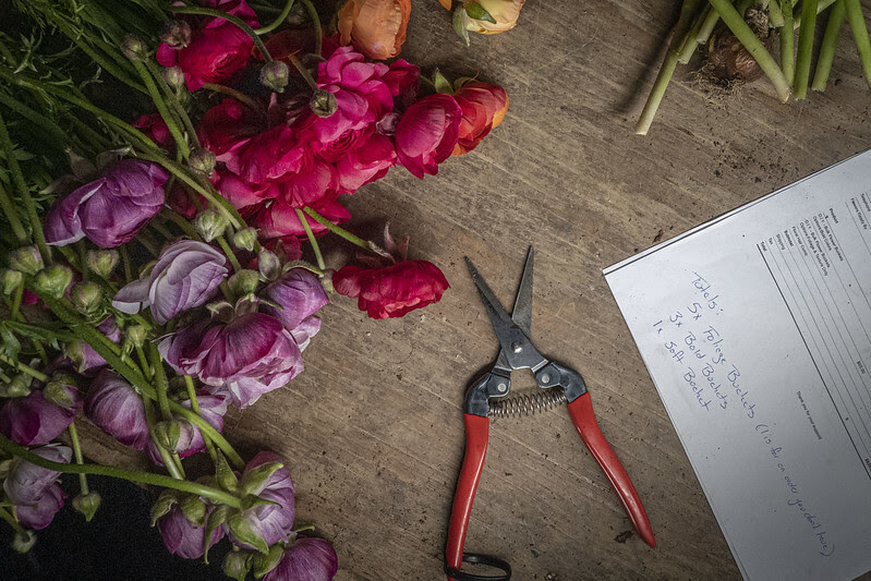 cut flowers
