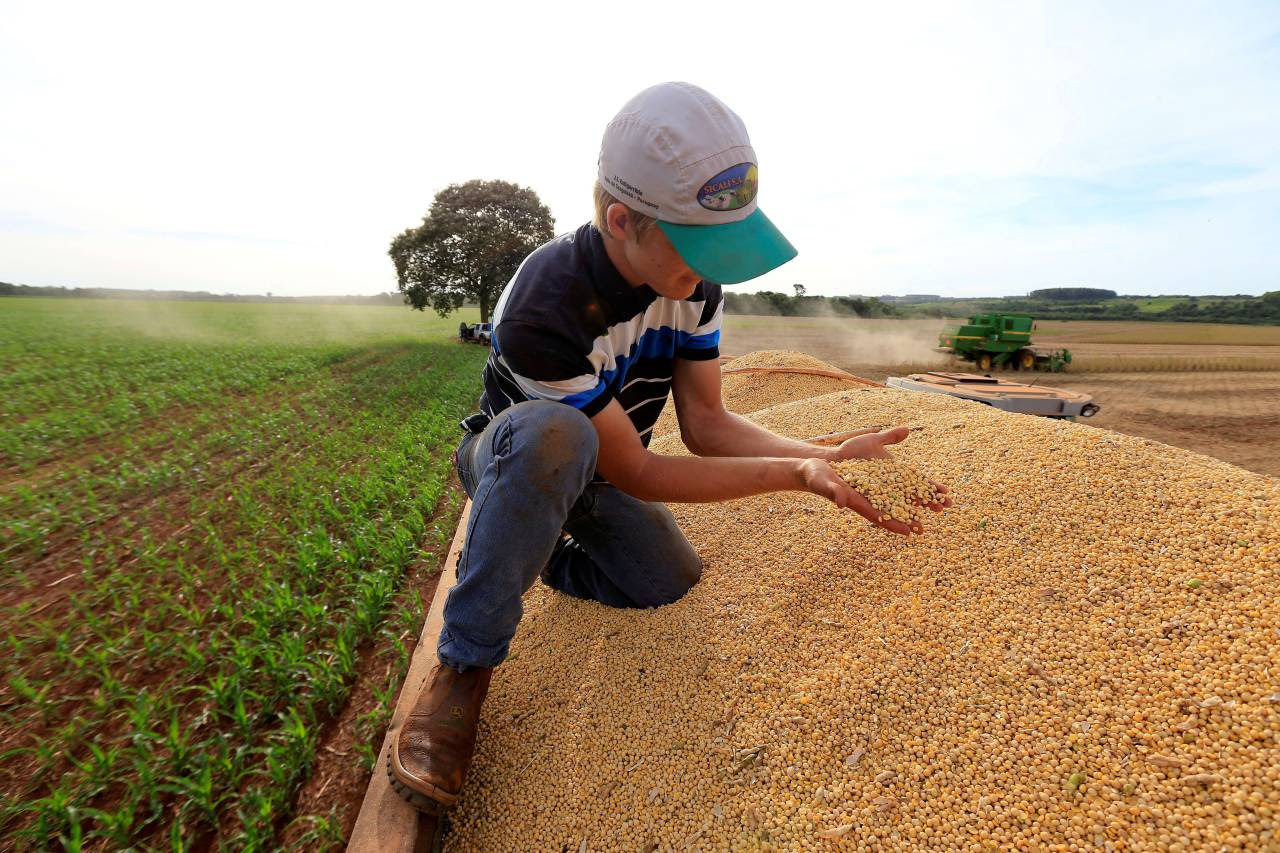 Produtor segura sua colheita de soja (Foto: Jorge Adorno/Reuters)