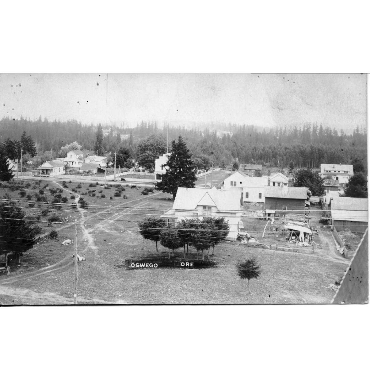 1908 photograph of old town Oswego, which has a few (mostly white) buildings amid a field and trees.