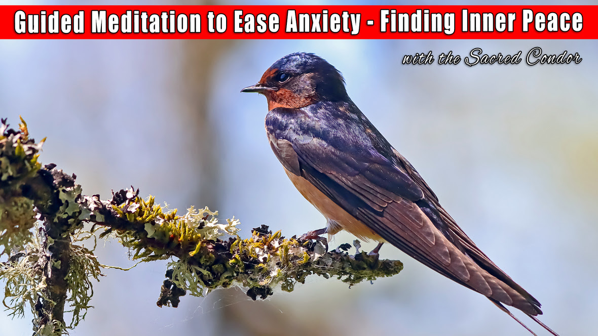 Guided-Meditation-to-Ease-Anxiety--Finding-Inner-Peace-thumbnail