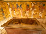 King Tut's toxic fungus might offer leukemia treatment