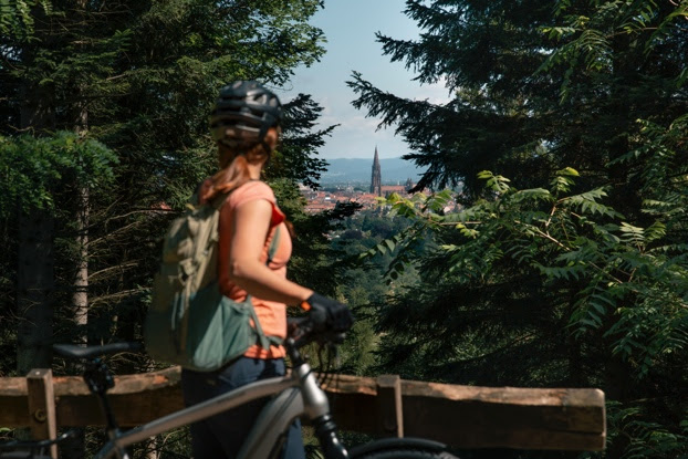 Une image contenant plein air, arbre, Roue de vélo, véloDescription générée automatiquement