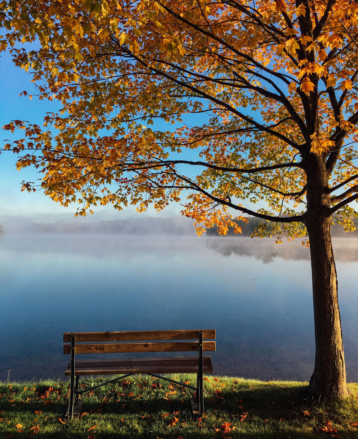 autunno una panchina al lago all'aria aperta